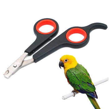 Animal De Estimação Papagaio Pássaro Pequenos Animais Acessório Grooming Ferramenta De Unha, Tesouras Clipper Preto E Vermelho